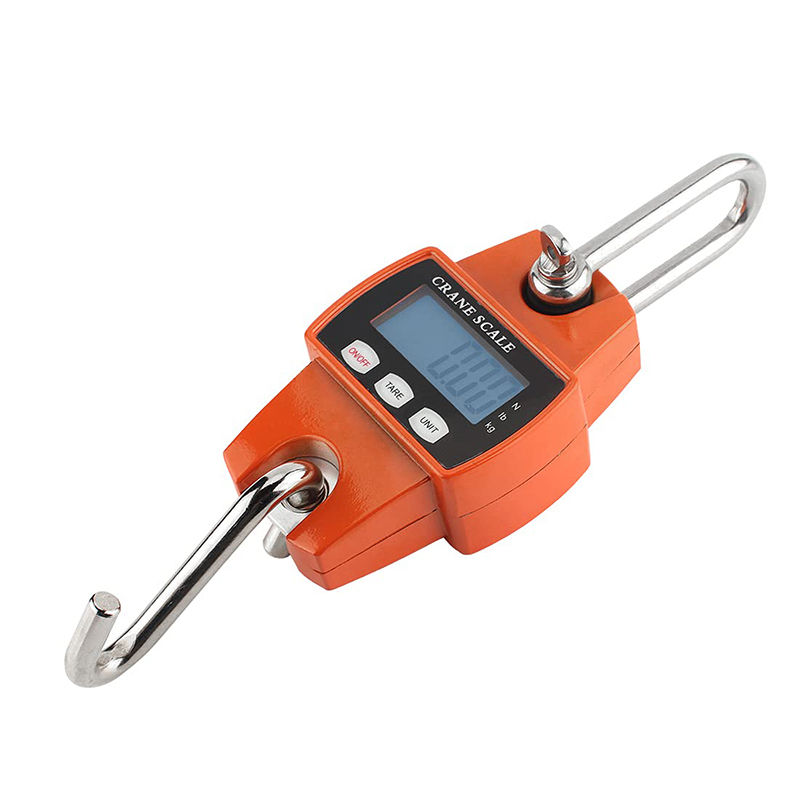 300kg Portable Mini Crane Hanging Scale