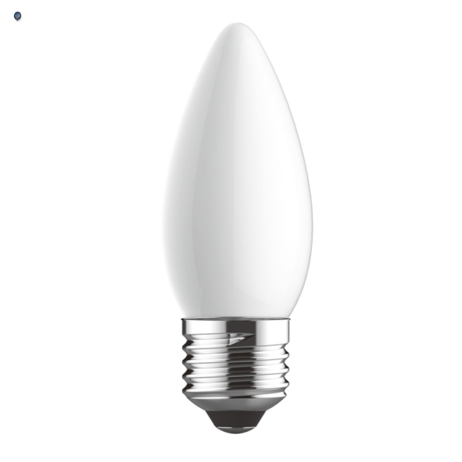 13W LED Bulb T Globe