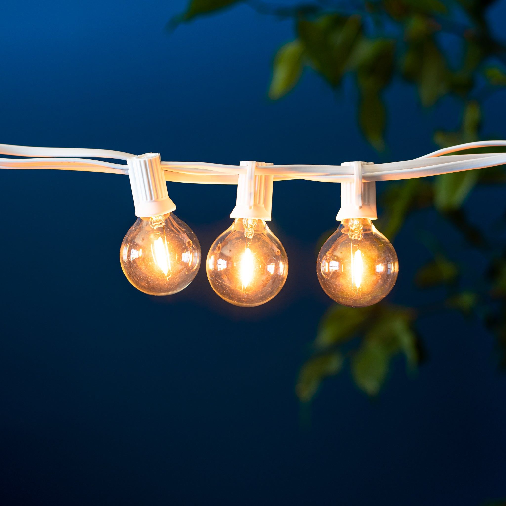 R7s LED Light Bulbs - Open Lighting Product Directory (OLPD)