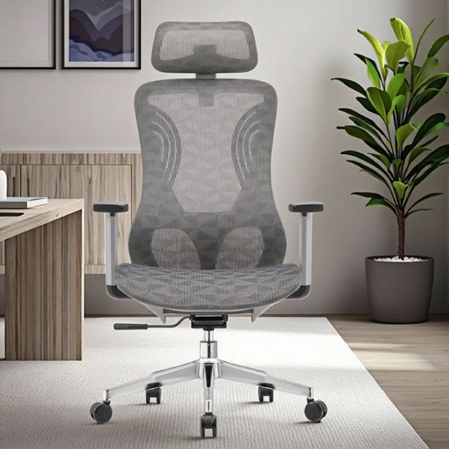 QandAHome Leila Orthopedic and Ergonomic Office Chair