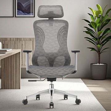 QandAHome Leila Orthopedic and Ergonomic Office Chair