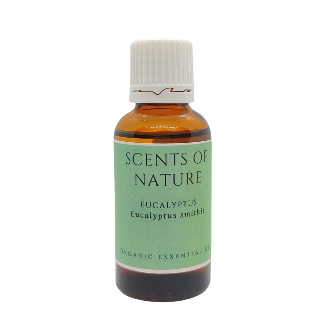 Scents of Nature - Eucalyptus Essential Oil
