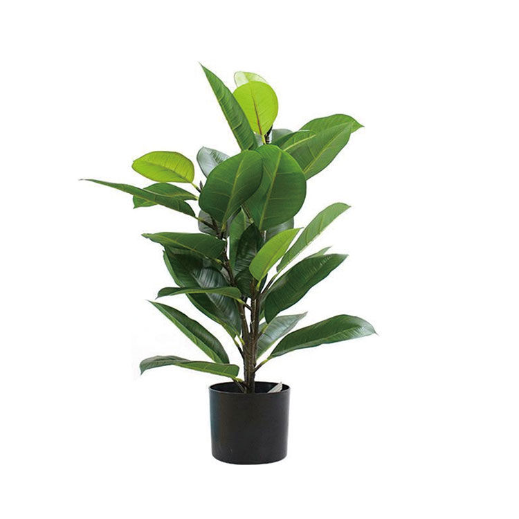 HouzeComfort Artificial Ficus Elastica Plant 70cm