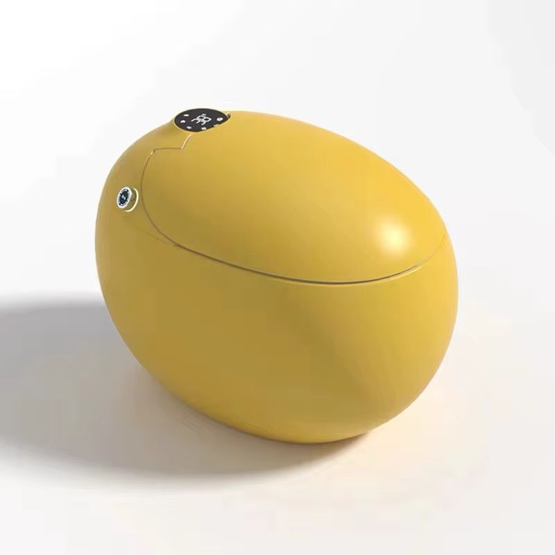 Smart Bidet Toilet, Egg-Shaped Ceramic