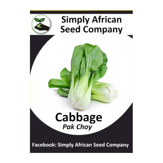 Cabbage Pak Choi 50's