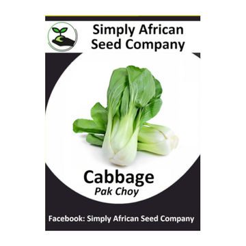 Cabbage Pak Choi 50's