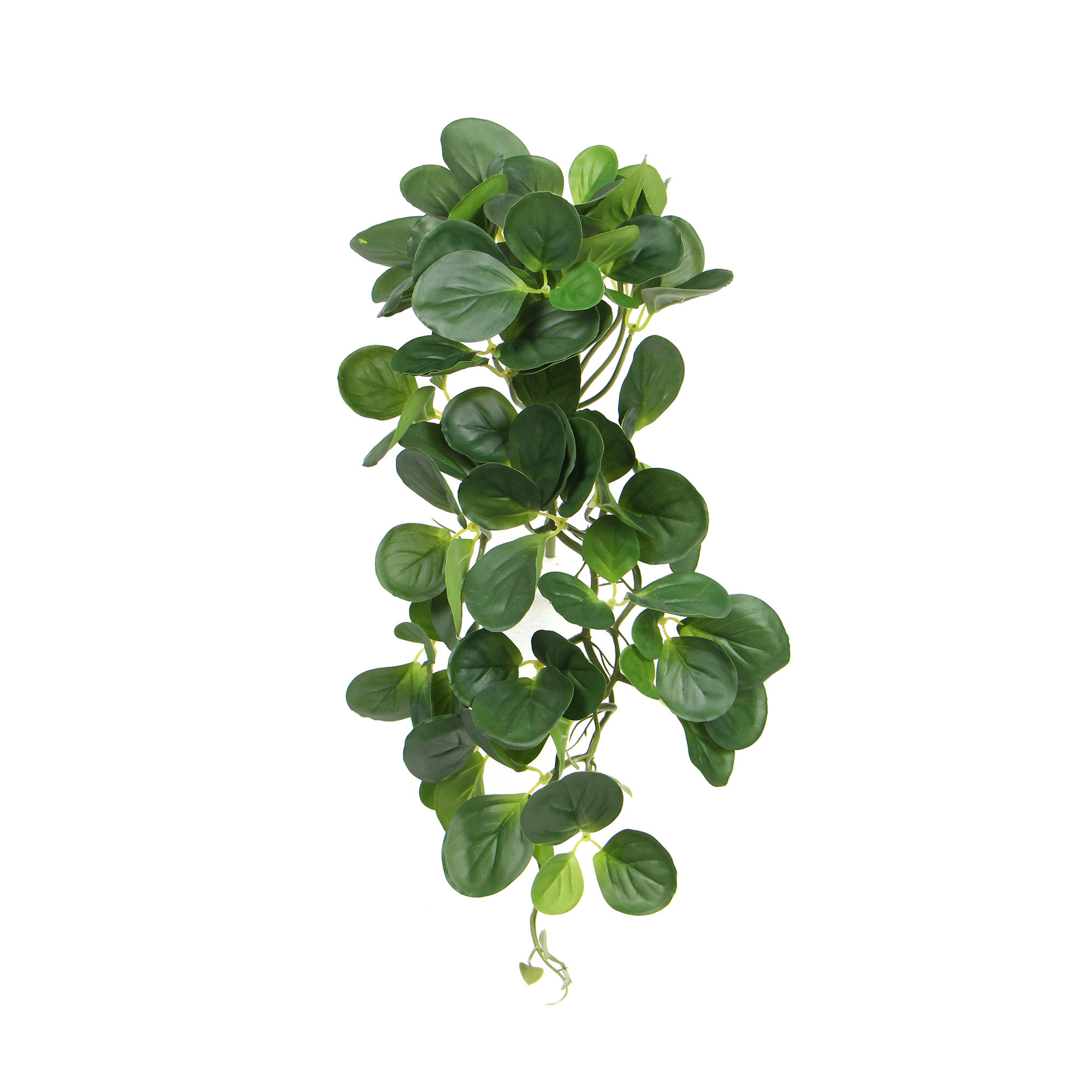 The Green Wall Co. - Artificial Foliage UV Protected - Hanging Bean