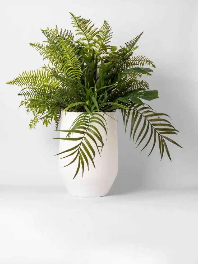 Faux Mixed Ferns in Ceramic Pot – Artificial Indoor Plant 66 102cm