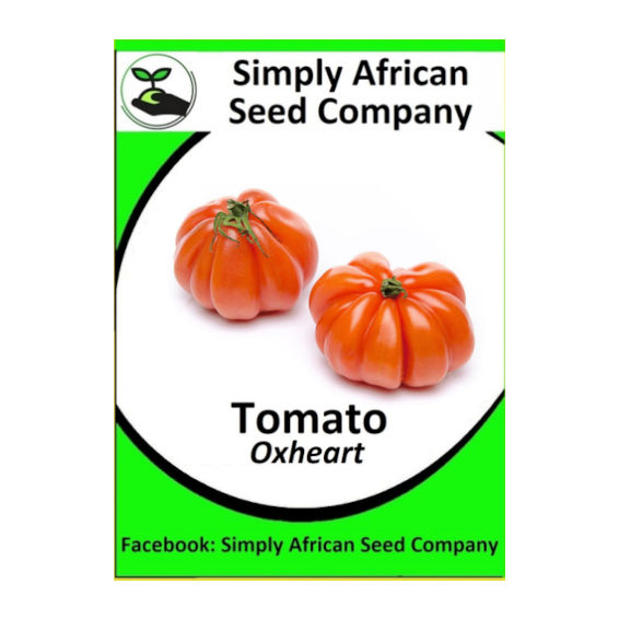 Tomato Oxheart (15's)