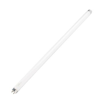 RADIANT Spare Light T8 G13 Tube for Insect Killer - 10W (Bulk Pack of 2)