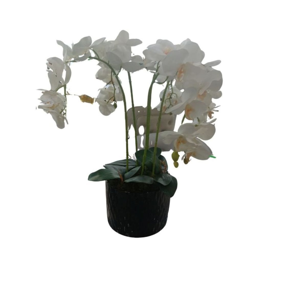 BlushArc Faux Orchid Arrangement-Artificial Flower