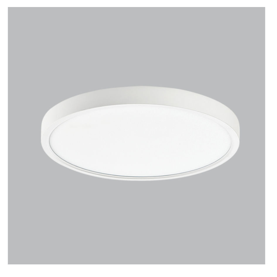LED  ABS Ceiling Fitting
