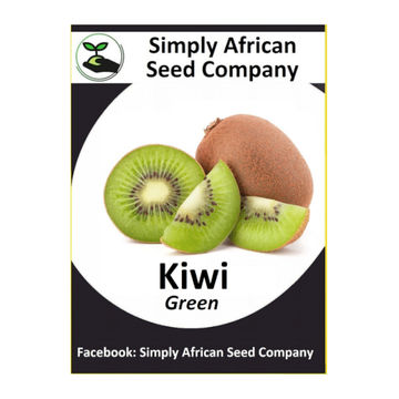 Kiwi Fruit Green (30's)