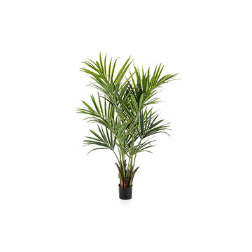 Artificial Kentia Palm Tree 180cm with Black Liner