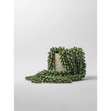 Faux Potted Donkey Tail Plant in Cement Pot – Artificial Indoor Plant 49cm