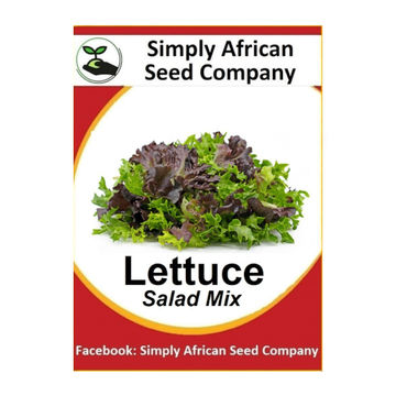 Lettuce Salad Mix (100's)