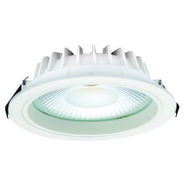 85-265VAC 30W LED Downlight225mm Diameter x105mmH Cool Cutø200