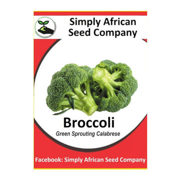Broccoli Green Sprouting Calabrese Seeds 30's