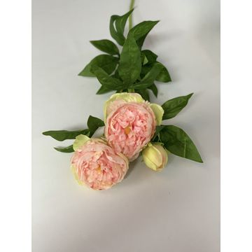 Peony L/Pink 14Cm