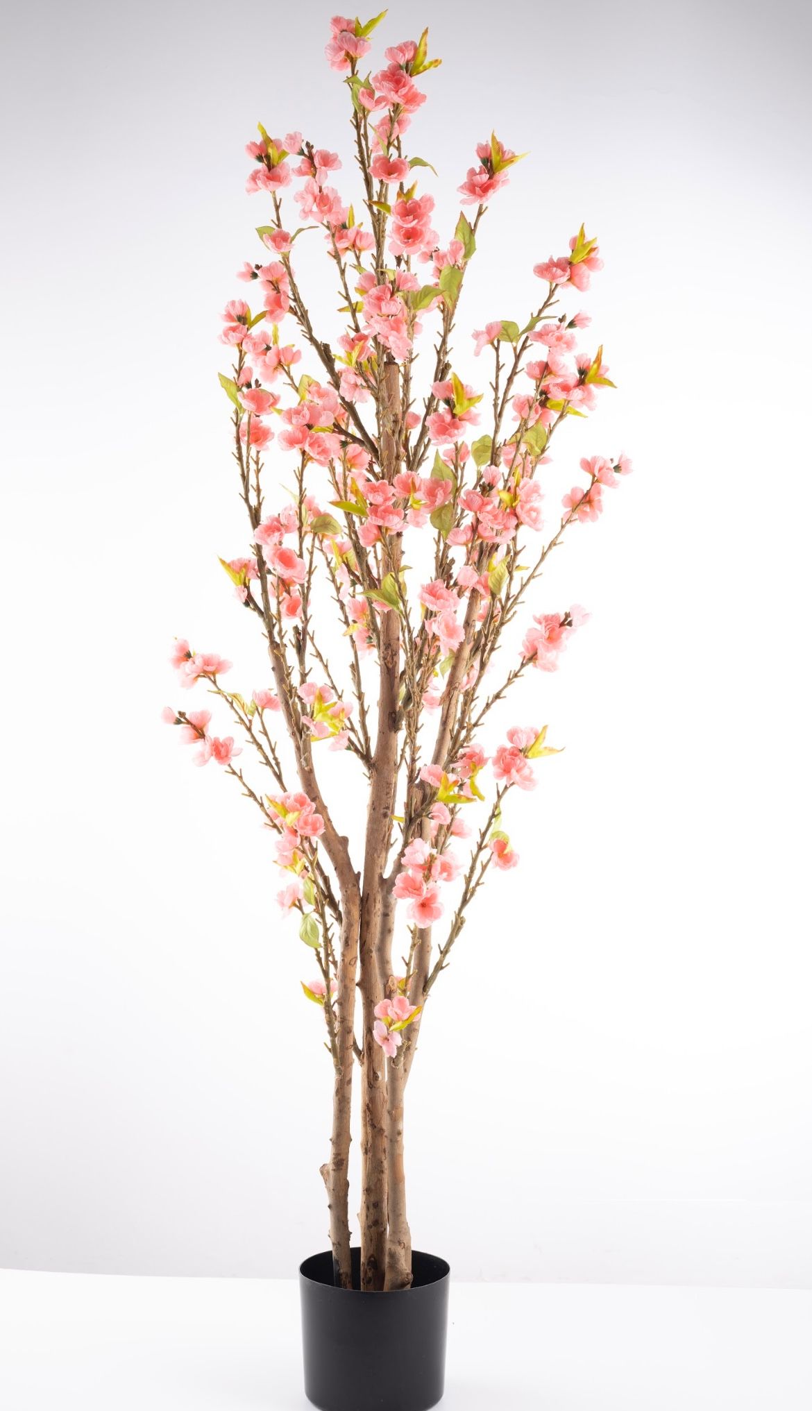 Artificial Premium Cherry Blossom Tree - 1500mmH