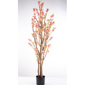 Artificial Premium Cherry Blossom Tree - 1500mmH