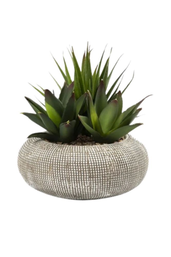Artificial Succulent Plant with Pot – Indoor Decorative Plant 20cm