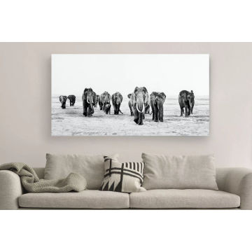 Elephant Walk Canvas