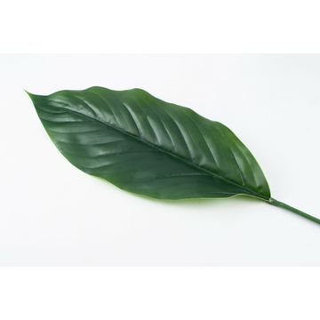 Banana Leaf 69.5Cm