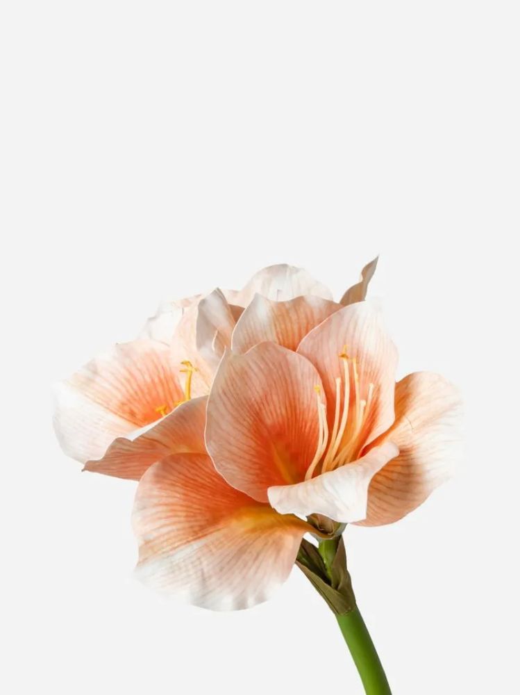 Faux Amaryllis 3 Flowers Peach 60cm – Artificial Floral Stem