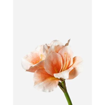 Faux Amaryllis 3 Flowers Peach 60cm – Artificial Floral Stem