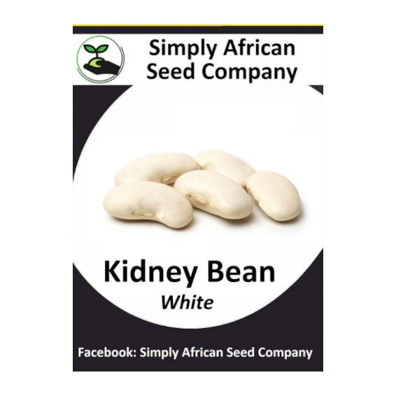 Beans White Kidney 15's