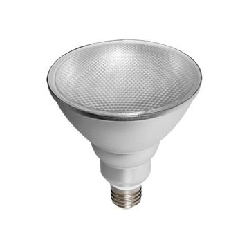 230VAC E27 12Watt LED  Cool White Par38 IP65