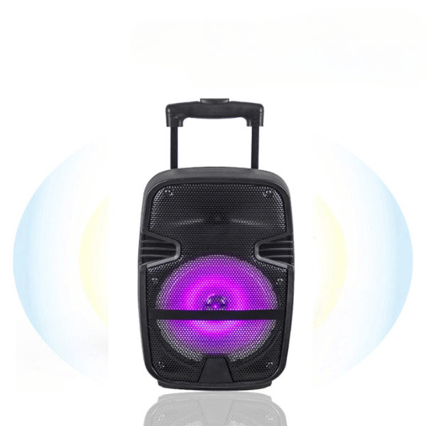 12 Inch Portable DJ Speaker with Mic and Remote