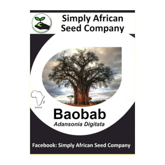 Baobab (Adansonia Digitata) (6's)