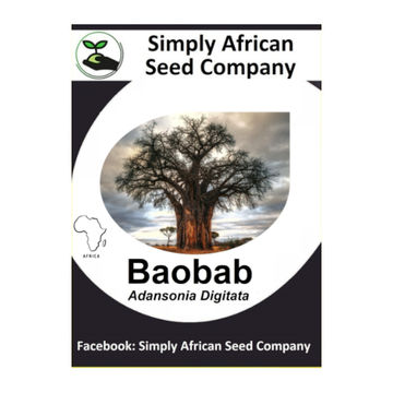 Baobab (Adansonia Digitata) (6's)