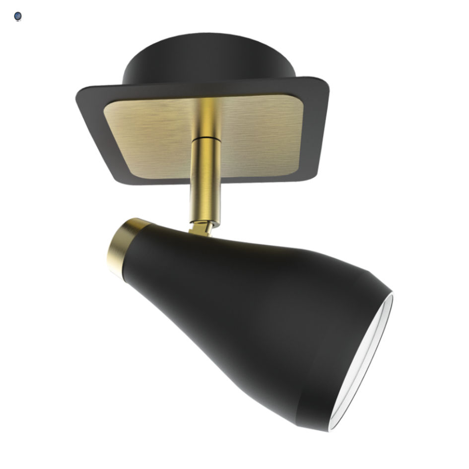 Matt Black and Satin Brass Spotlight