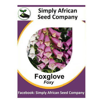 Foxglove Foxy Mix (50's)