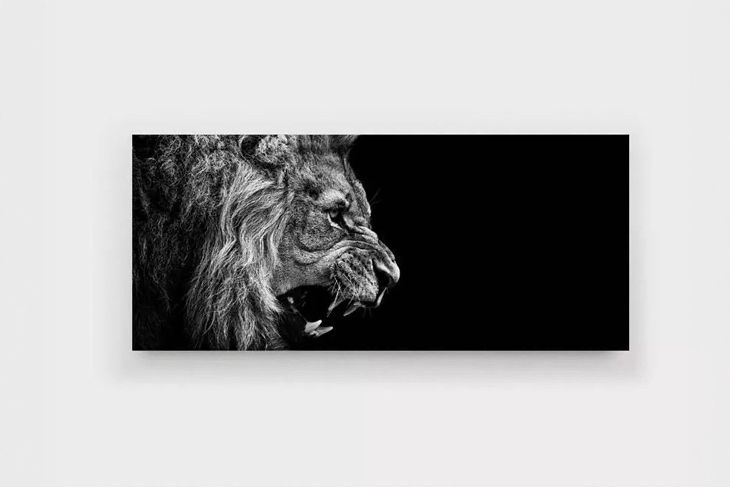 Lion Roars Canvas