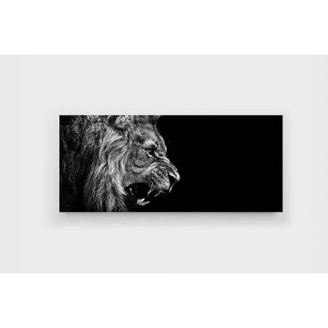 Lion Roars Canvas