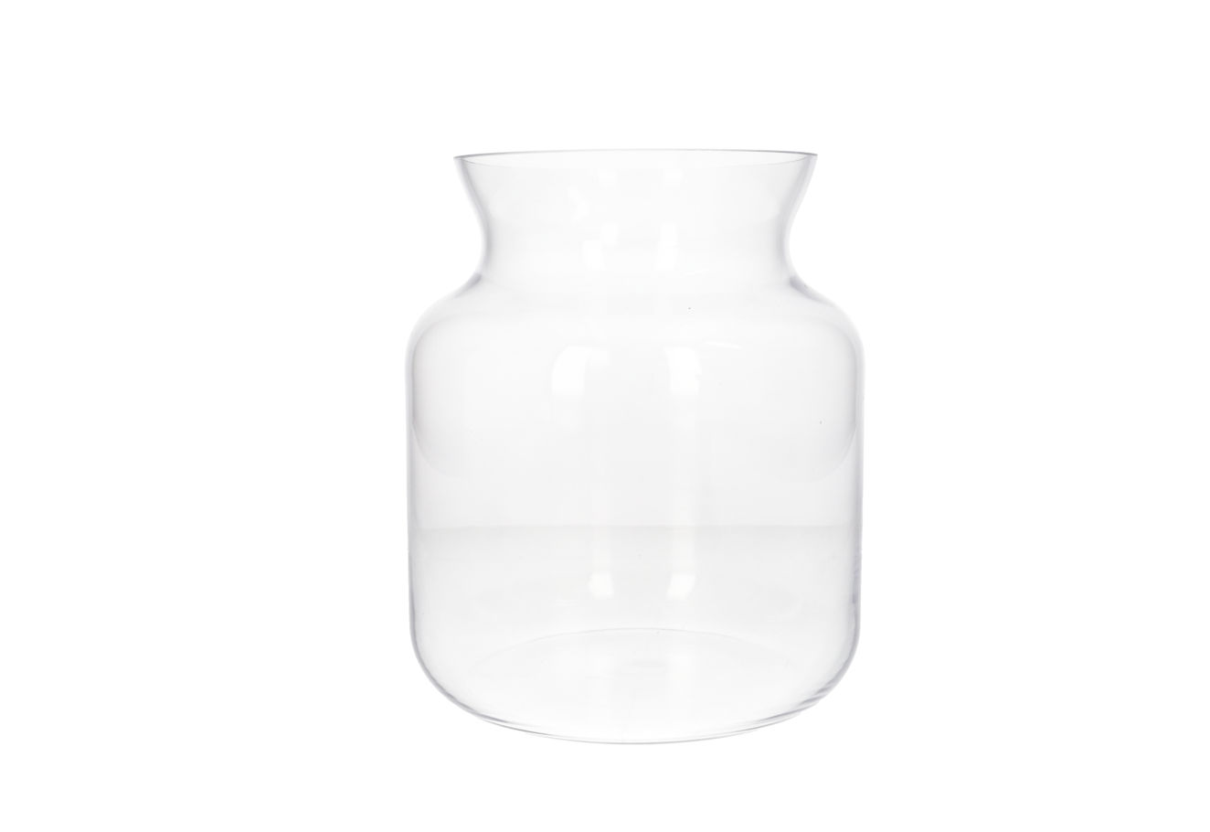 Danny Home Clear Glass Decorative Vase
