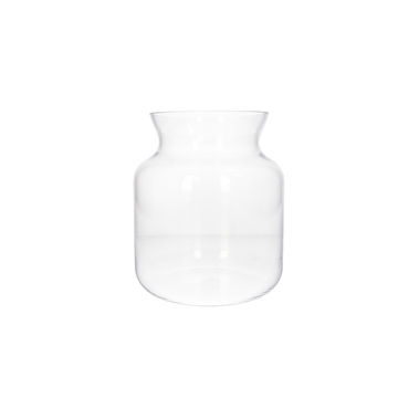 Danny Home Clear Glass Decorative Vase