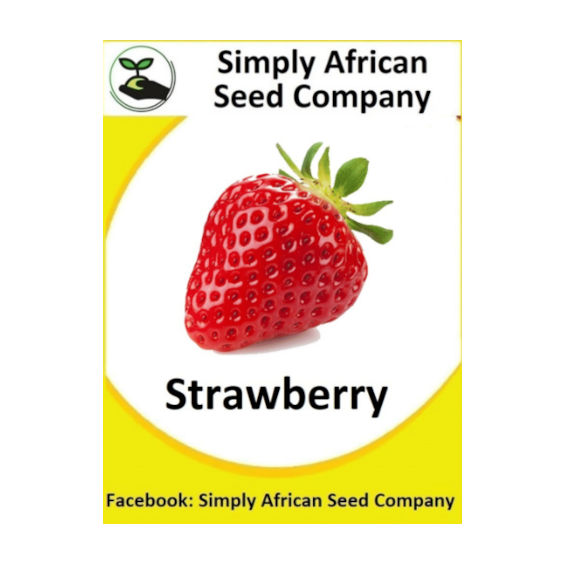 Strawberry Selecta (30's)