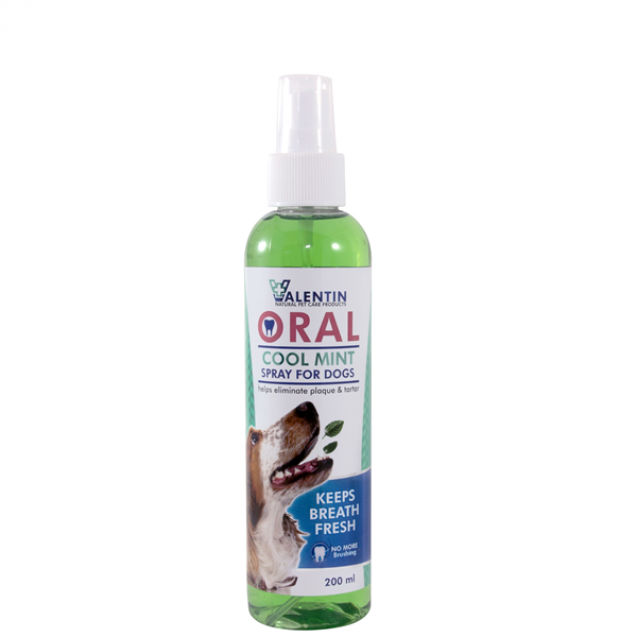 VALENTIN ORAL COOL MINT SPRAY FOR DOGS | LEROY MERLIN South Africa