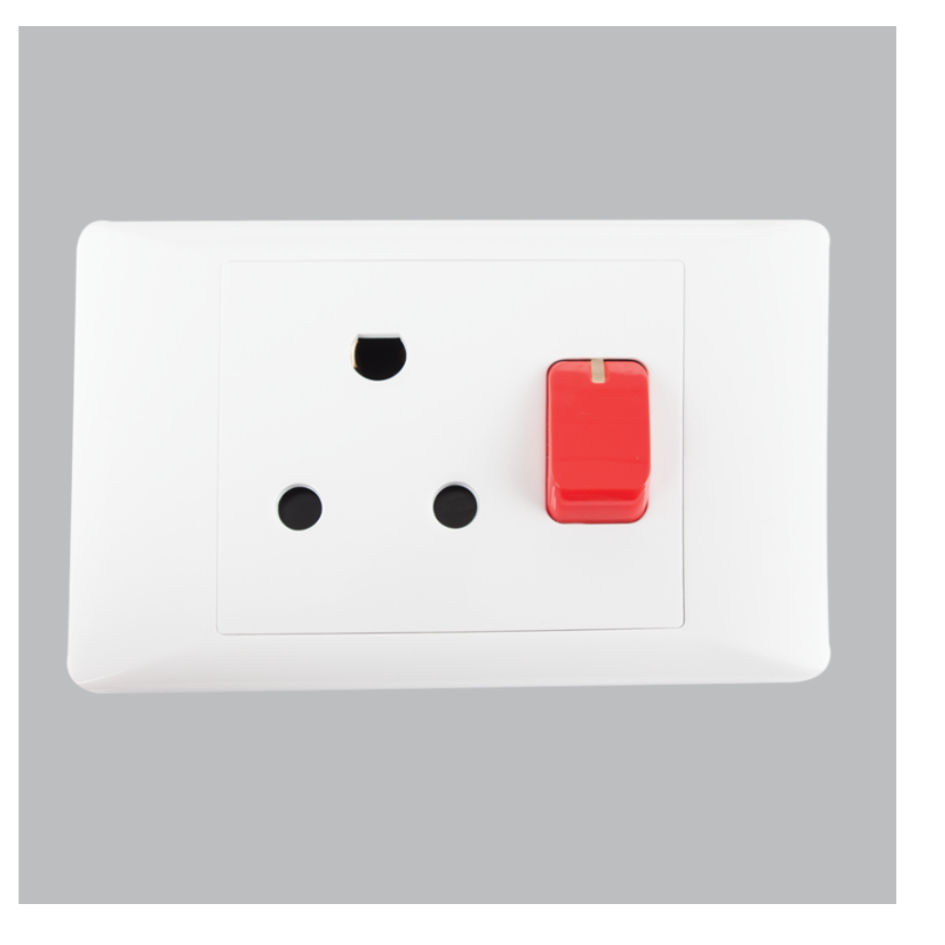 16 AMP Dedicated Plug â€“ 2 X 4