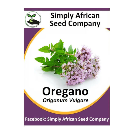 Oregano 100's