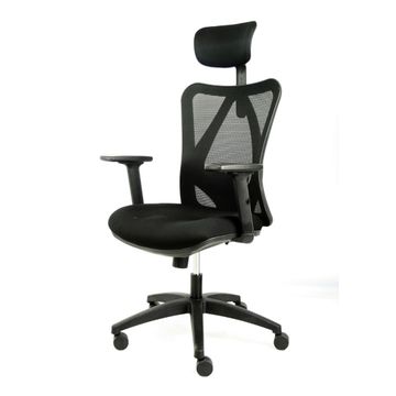 Executive Office Chair - Space
