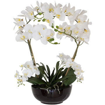 PREMIUM WHITE REAL TOUCH ARTIFICIAL ORCHID 64CM