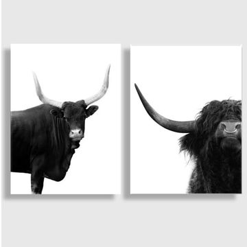 BULL SET PREMIUM CANVAS WALL ART BULL SET 50x70cm