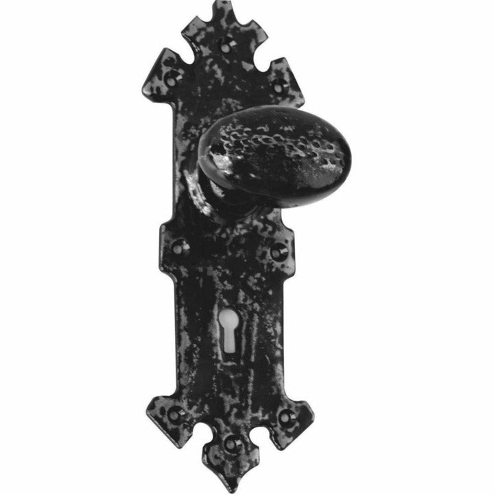 Wrought iron knob on back plate