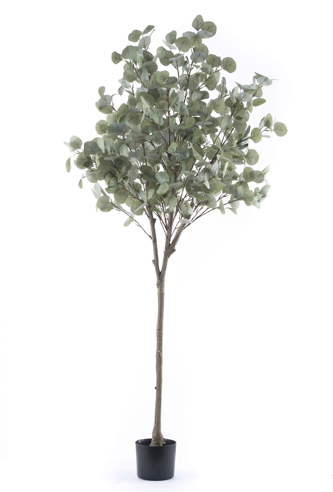 Artificial Premium UV Eucalyptus Tree - 1600mm